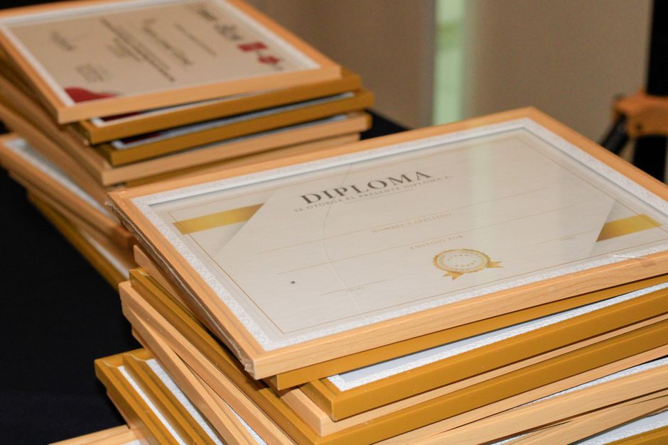 Diploma i prijepis ocjena za prijevod